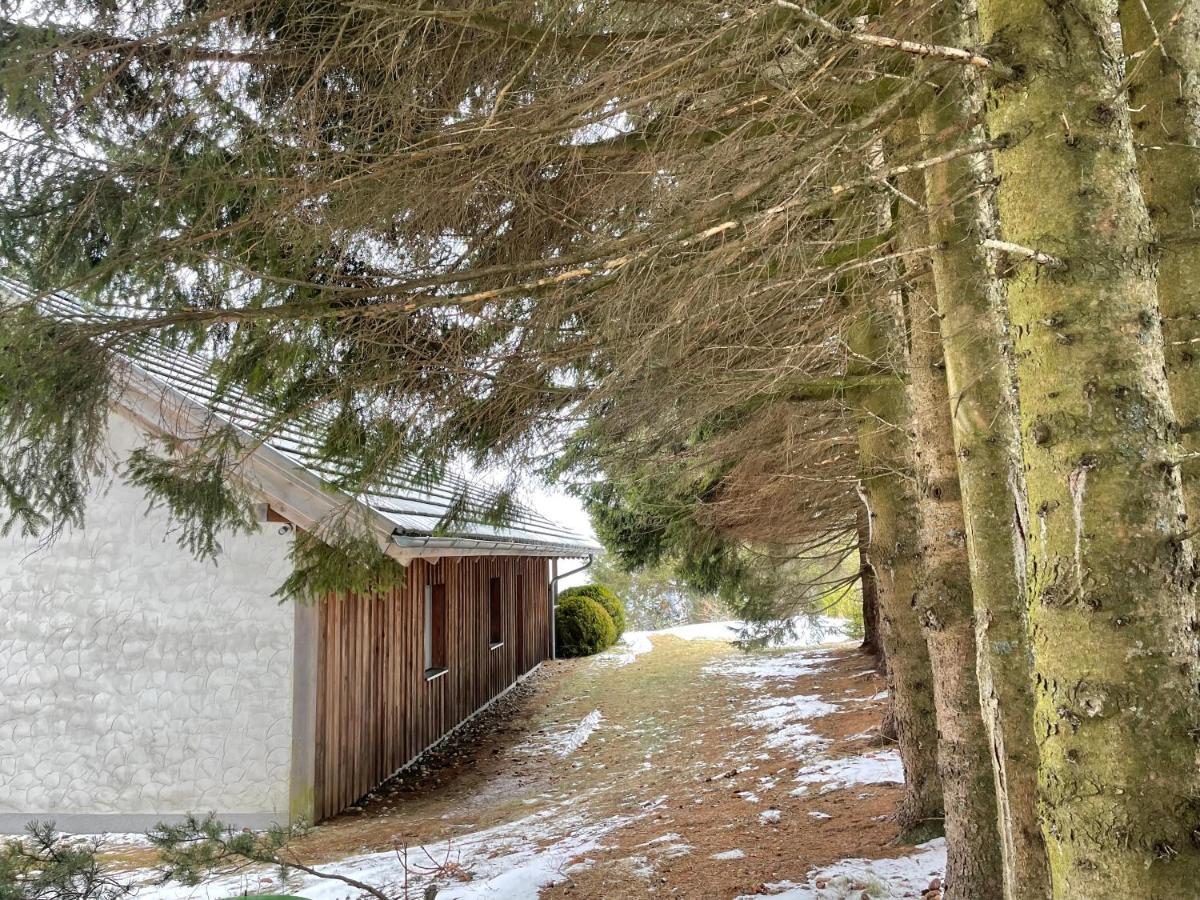 Teichalm Lodge Landhaus Fladnitz an der Teichalm Esterno foto